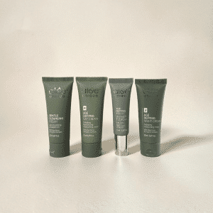 Mini Winter Holiday Essentials